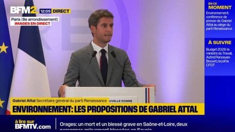 Loi Duplomb: Gabriel Attal évoque un risque de "perdre une partie de notre agriculture si on interdit (...) sans solution alternative"