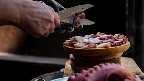 Spain’s octopus capital forced to import octopus as numbers dwindle