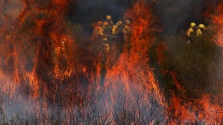 Marlaska pide dos hidroaviones a la UE cuando hay más de 30 incendios activos y decenas de miles de hectáreas arrasadas