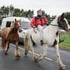 Thousands of Travellers and Gypsies descend on Appleby as world famous horse fair gets started - while locals batten down the hatches