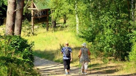 Bonus vacanze e benessere. Chi può ottenerlo e come averlo