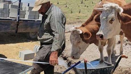 Bitlis’te korkutan manzara! ‘Yerini bulamaz oldular’