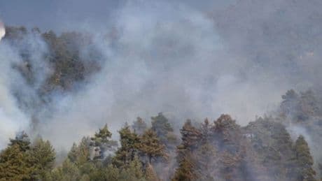 İtalya'nın Sardinya Adası'nda 20 farklı noktada orman yangını çıktı
