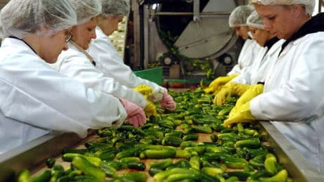 Ernährungsarmut | Hunger nach Industrie