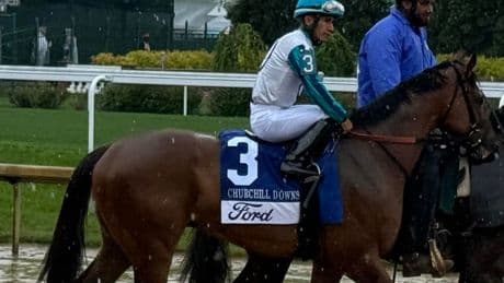 Grade 1 Forego Stakes Might Be Race Of The Day At Saratoga  August 23
