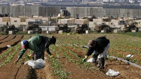 Why so many Thai nationals are among the hostages held by Hamas in Gaza