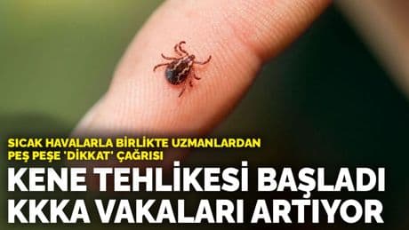 Sıcak havalarla birlikte uzmanlardan peş peşe 'dikkat' çağrısı: Kene tehlikesi başladı, KKKA vakaları artıyor