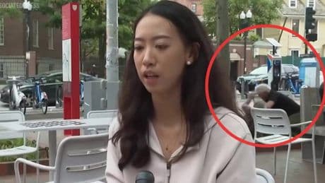 Fight breaks out behind Harvard student as she issues plea for global unity