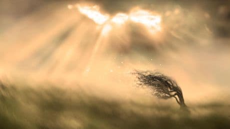 Resilienz: So wecken wir die Superkraft gegen jede Krise in uns