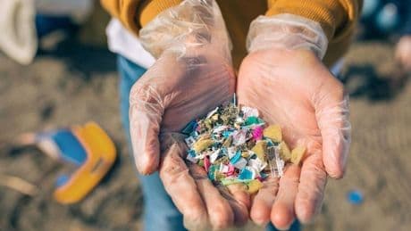 Alerta científica por el daño a la salud aún «subestimado» que causan los microplásticos