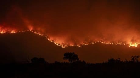 ¿Se dice &quot;incendio extinguido&quot; o &quot;incendio extinto&quot;? La RAE lo deja claro