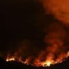Six morts, des dizaines de milliers d'hectares brûlés… Ce que l'on sait des incendies qui ravagent l'Espagne et le Portugal