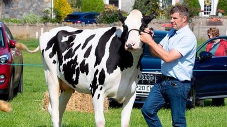 Craigie Farmers' Society Show was another smash hit