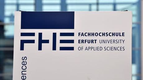 Wissenschaftsförderung: Bund gibt sieben Millionen Euro für Holzprojekt frei