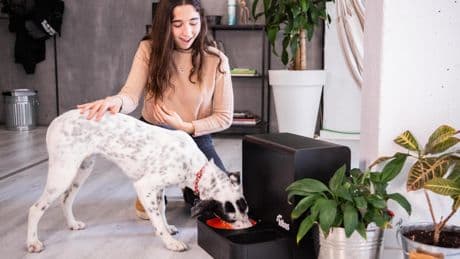 El fondo español BeHappy refuerza su portfolio con Kibus y mira ya al exterior de cara al próximo curso