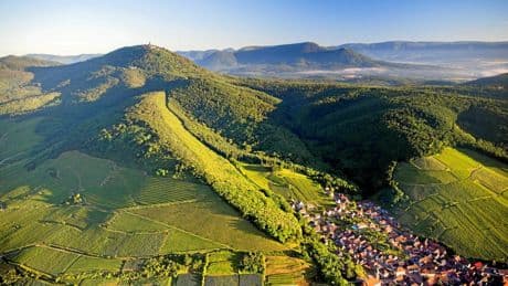 Vins d'Alsace : notre sélection de l'été 2025