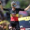 Bijzonder juichgebaar blijft uit bij Tim Wellens na ritwinst in Tour: ‘Ik was zo blij dat ik het ben vergeten’