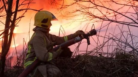 Almost a quarter of South Ayrshire deliberate fires take place in one area