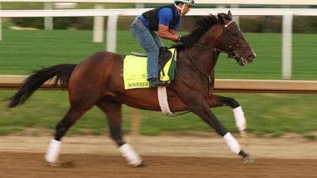 2025 Kentucky Derby Tips & Churchill Downs Best Bets