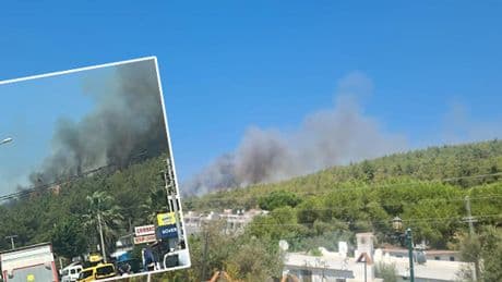 Bodrum’da orman yangını! Rüzgarın etkisiyle büyüyor
