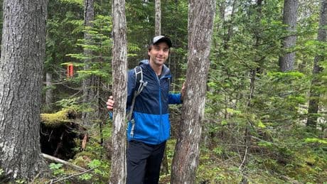 Saint John warned against paving old-growth forest and putting up industrial park