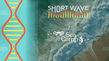 The ocean's currents are shifting. Why?
