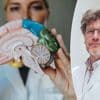 “Hoe snel je hersenen verouderen, hangt voor 90% af van je levensstijl”: topdokter geeft tips voor een gezond brein