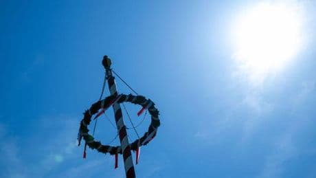 Polizei sucht Zeugen: Maibaum in Lostau abgesägt