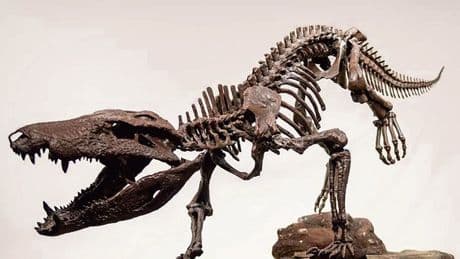 En Patagonie, la découverte du fossile d’un alligator carnivore remet en cause la thèse de la domination des dinosaures