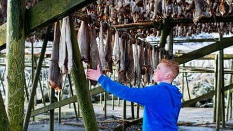 Aufwachsen auf den Lofoten: »Ich lebe dort, wo die Sonne im Winter nicht aufgeht«