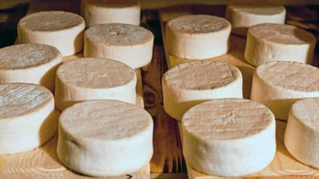 Fromages contaminés : ce que vous devez savoir sur la bactérie Listeria