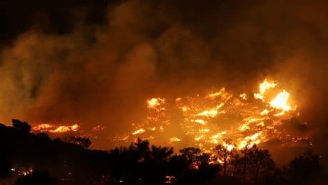 İtalya'nın Sardinya Adası'nda 20 farklı noktada orman yangını