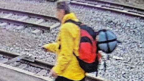 Sie war auf dem Weg in den Urlaub - Frau (73) steigt in Zug und verschwindet