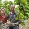 « Même à 40 °C, ce ne sera pas un souci » : pourquoi la canicule devrait bonifier la vigne