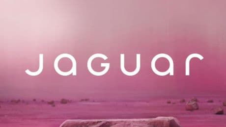 Il rebranding è stato un disastro: Jaguar affossata dal woke