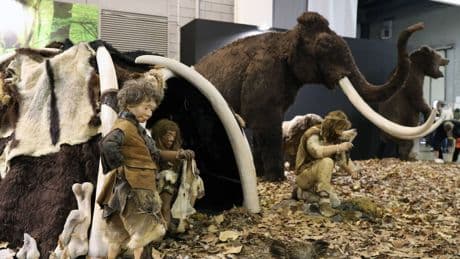 Los neandertales y el ‘batch cooking’: hallan en Alemania una “fábrica de grasa” de hace 125.000 años