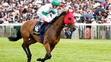 Bargain buy Tamfana giving ‘people from all walks of life’ a taste of racing’s big time
