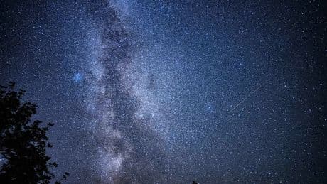 Peu de lumière, pas de nuage: comment observer les étoiles filantes pendant la période des Perséides?