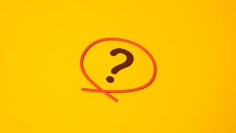 Quiz: Blühen Sie unter Zeitdruck richtig auf? Testen Sie im Blitz-Quiz