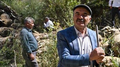 Bir koyunu 333 koyun takip etti! Çobanlar durduramadı
