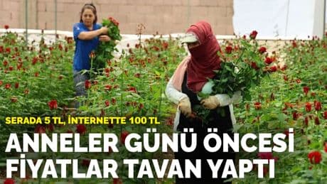 Anneler Günü öncesi fiyatlar tavan yaptı: Serada 5 TL, internette 100 TL