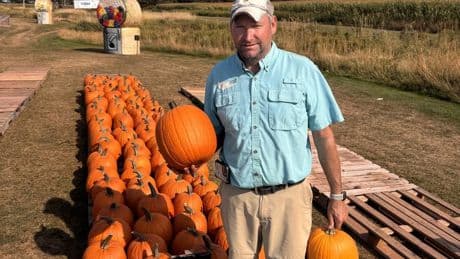 ‘A spooky season’: Drought and heat reducing pumpkin yield in Canadian farms