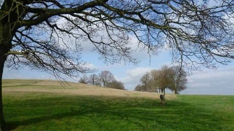 Tiny UK village with gorgeous country park and name that makes people laugh