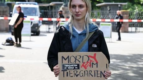 Zoo tötet zwölf Paviane – Aktivisten stürmen Tiergarten