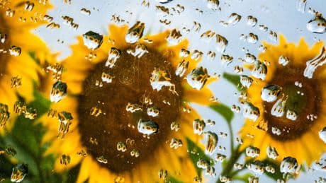 Wetterexperte verrät, ab wann die Hoffnung auf Sonne sich lohnt