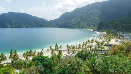 Un virus tropical mal connu se propage en Amérique latine et pourrait déclencher la prochaine crise sanitaire