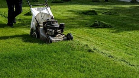 'Worst mistake' to never do when mowing your lawn, warns expert