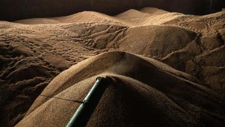 Subventionsbetrug in Griechenland: Die reiche Ernte der Pseudo-Bauern