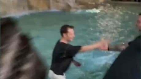 Polizei knallhart - Trottel-Touri aus Trevibrunnen abgeführt