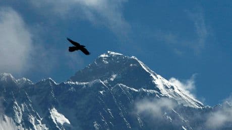 British climber sets new record with 19th Everest summit, the most by any non-Sherpa guide